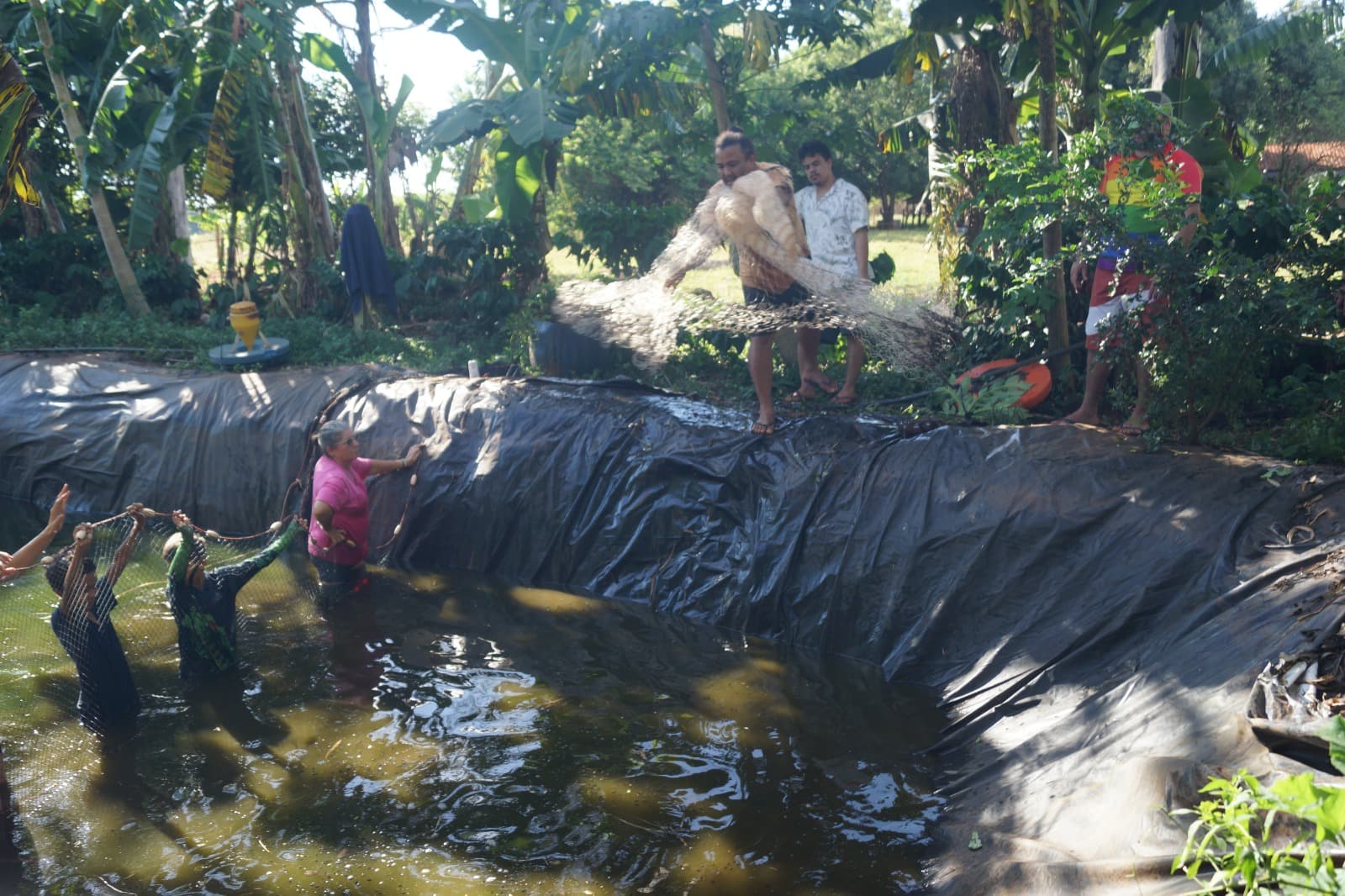 Criação de Peixes no Lote 21