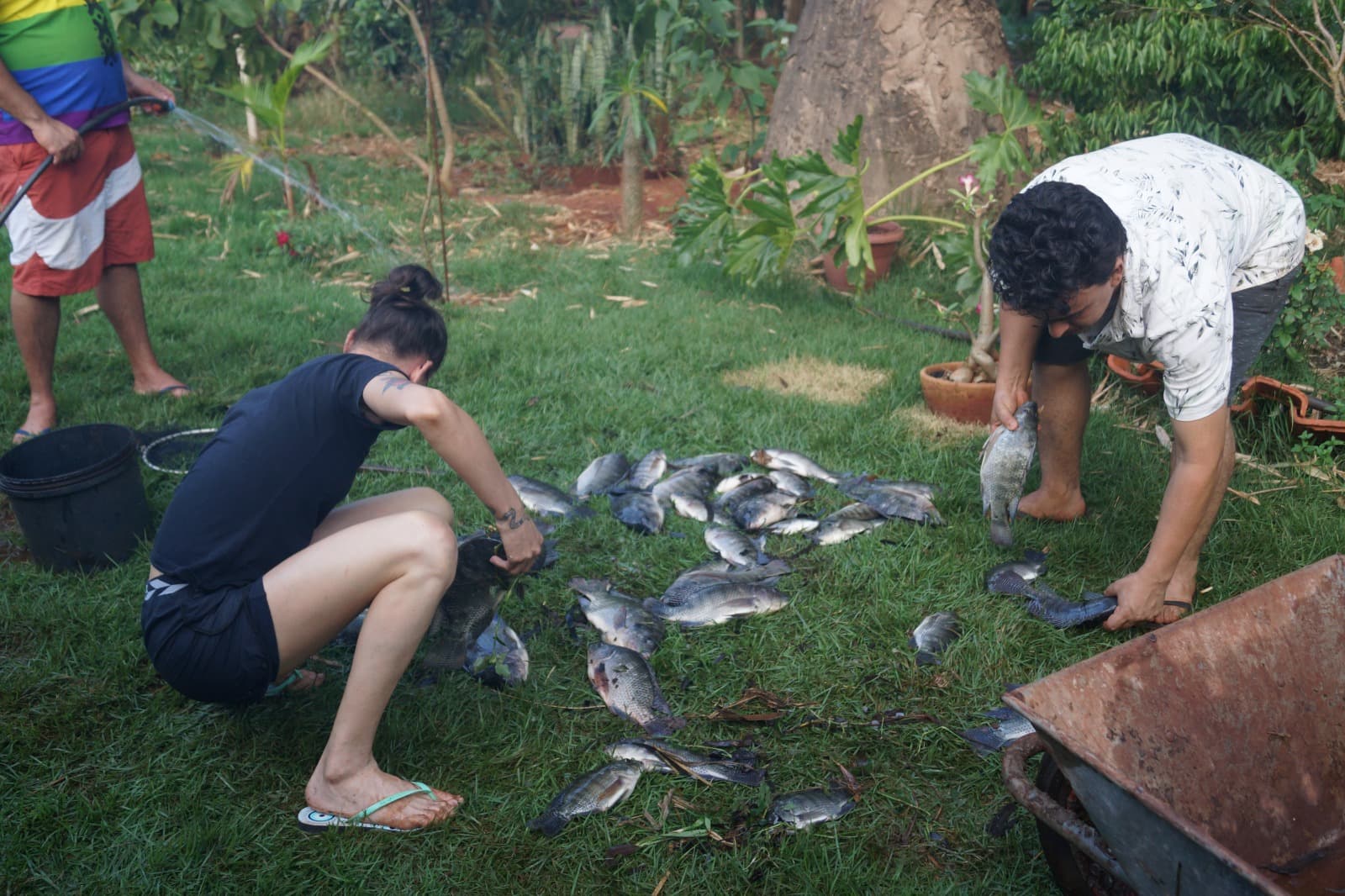 Despesca pré-páscoa