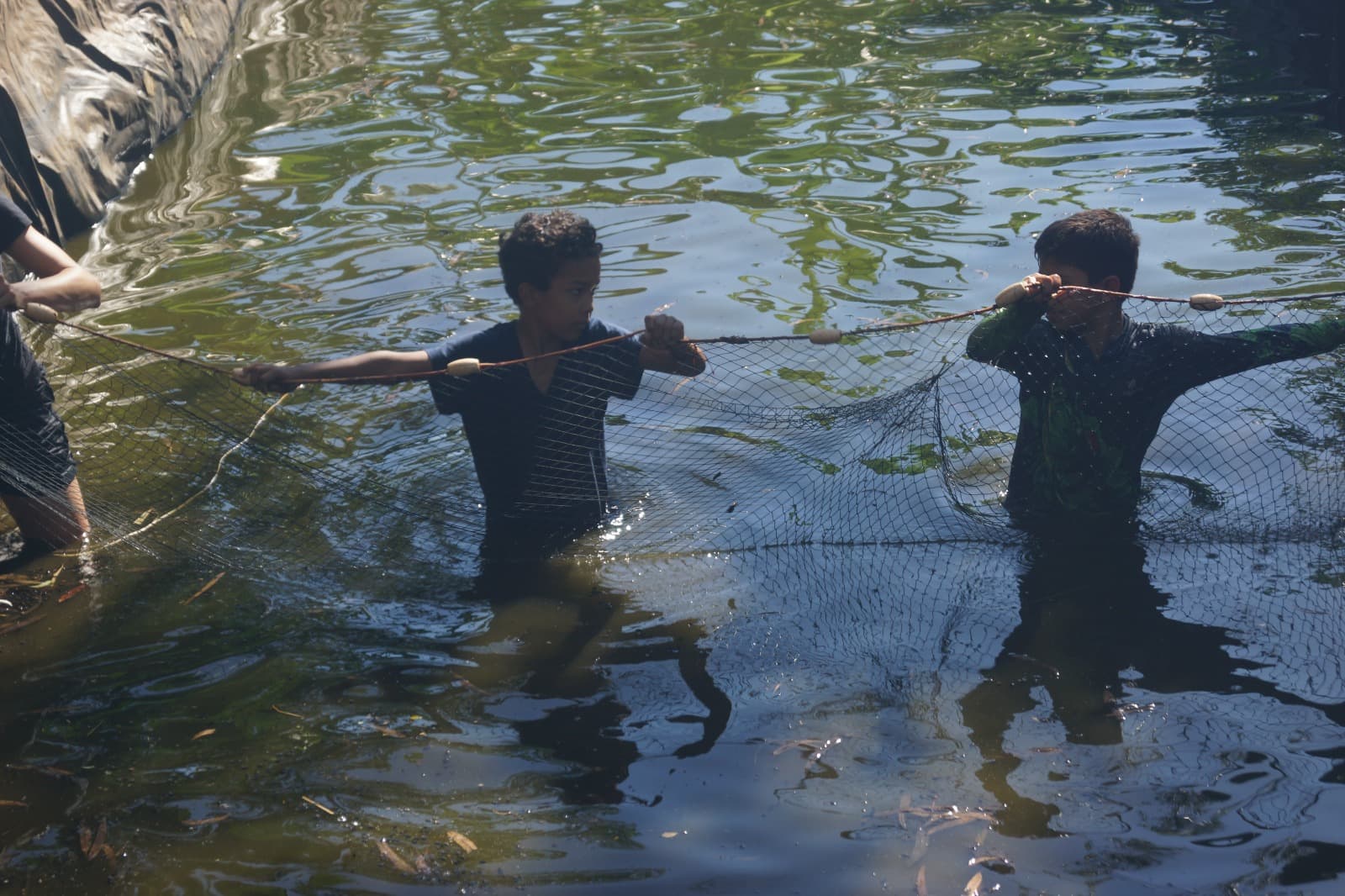 Despesca pré-páscoa