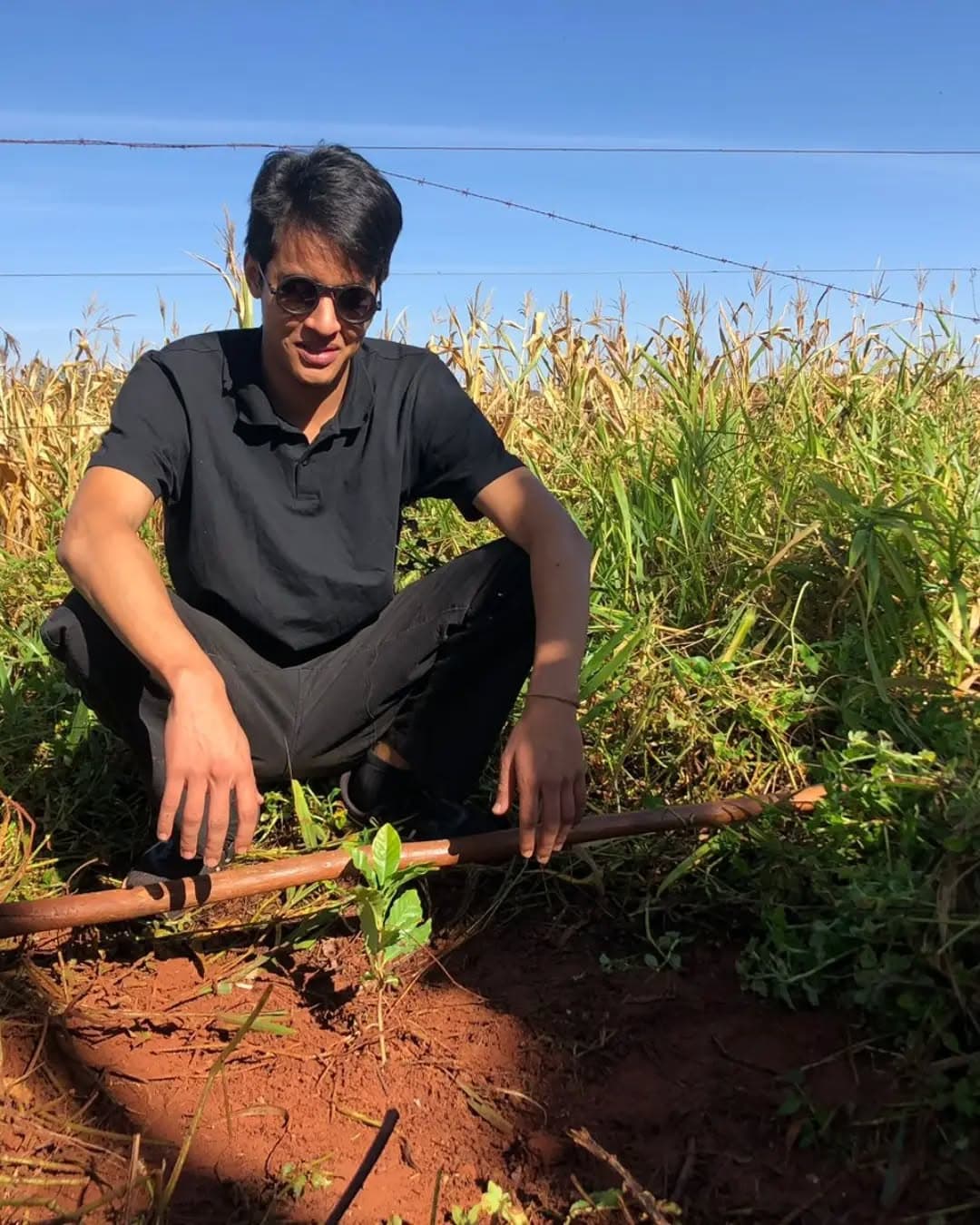 Café Agroecológico em Sidrolândia MS