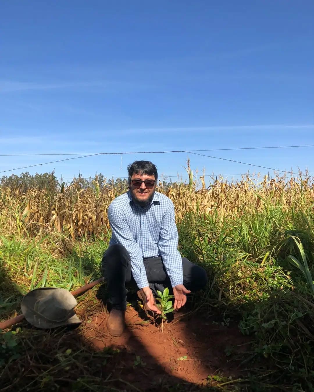 Café Agroecológico em Sidrolândia MS
