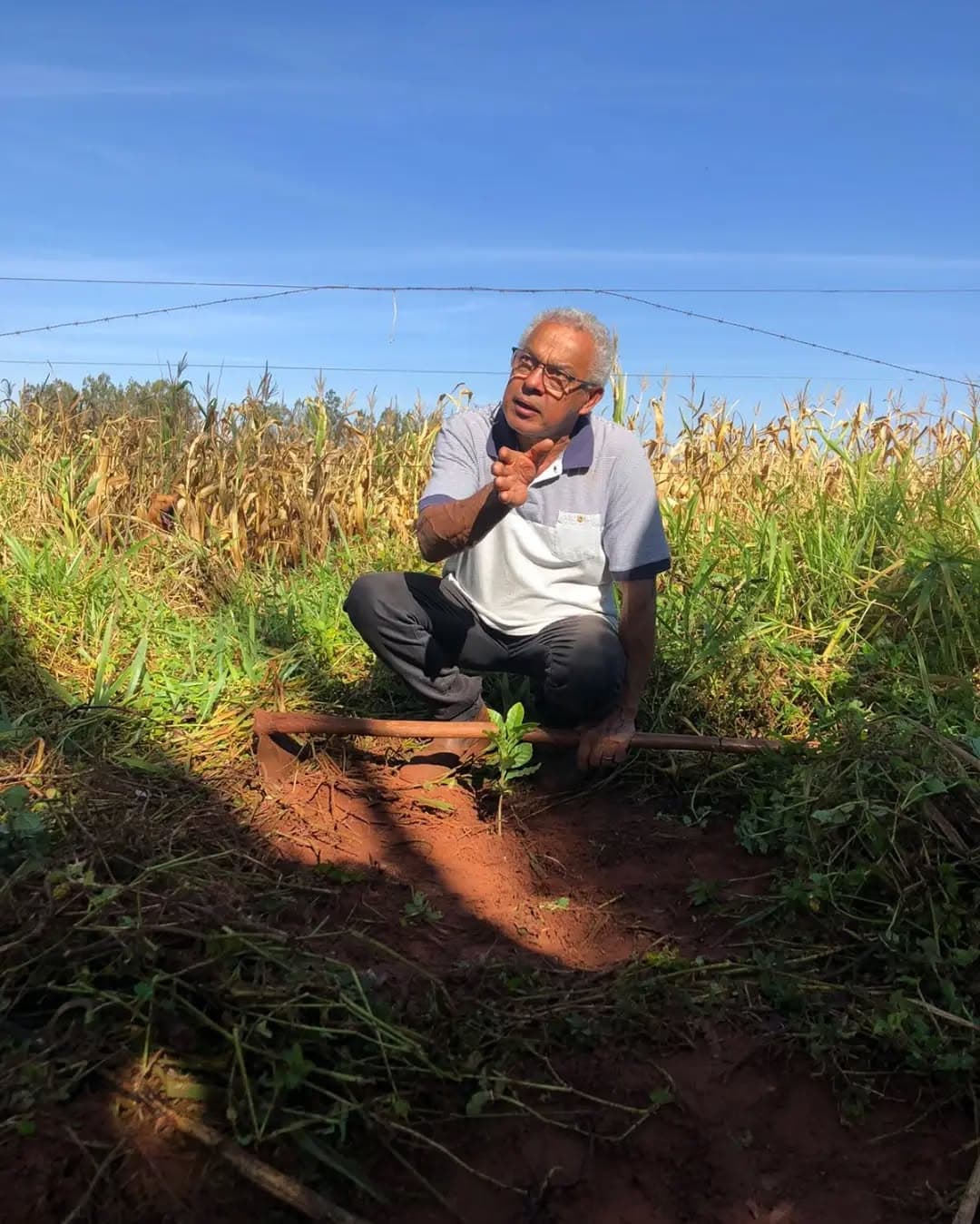 Café Agroecológico em Sidrolândia MS