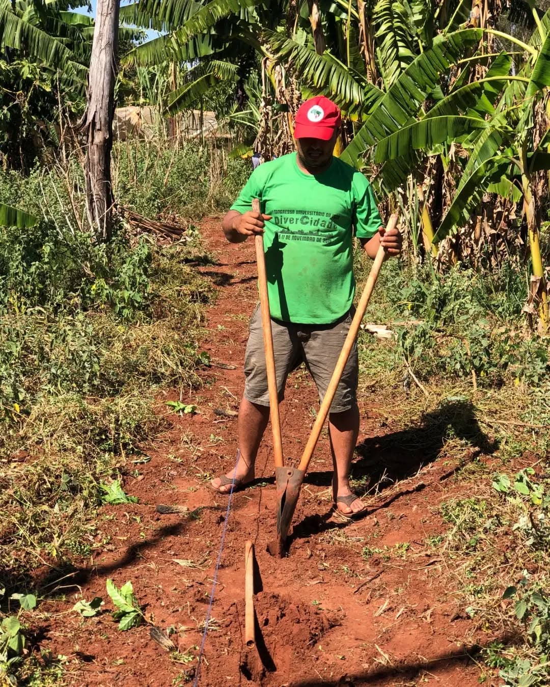 Café Agroecológico em Sidrolândia MS