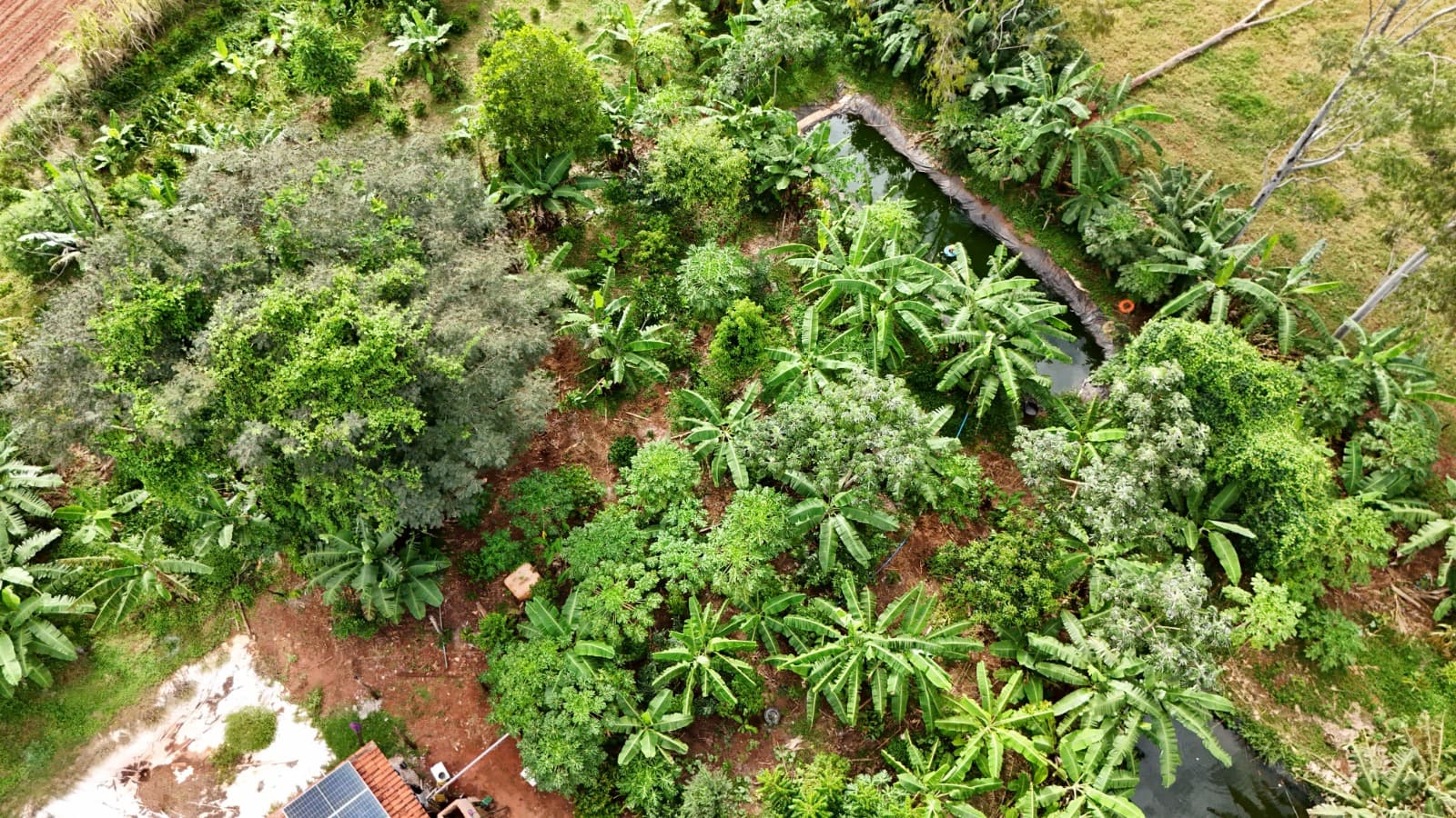 Imagem aérea Sidrolândia MS Agrofloresta Encontro de Biomas Enxame Agroecológico