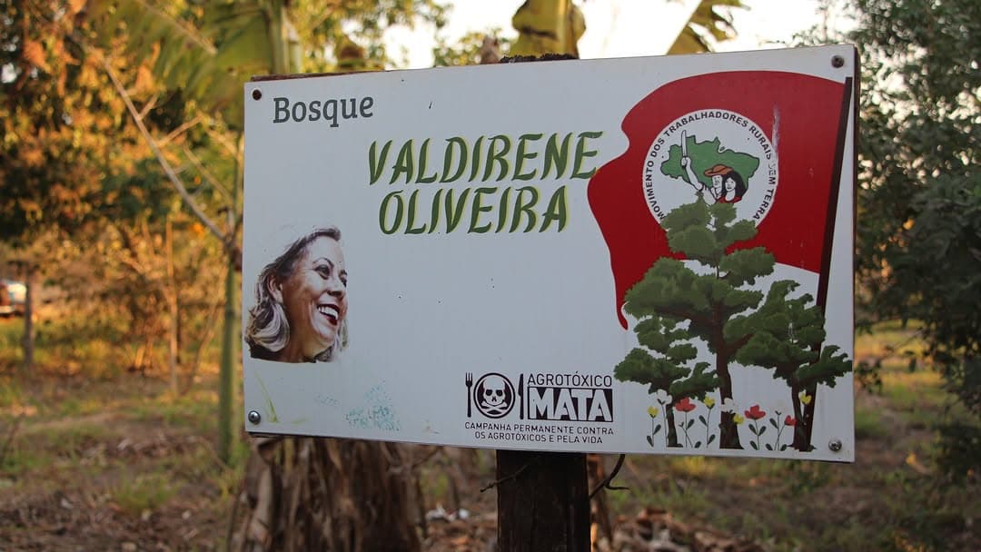 Mutirão de plantio de mudas nativas Enxame Agroecológico no Lote 21