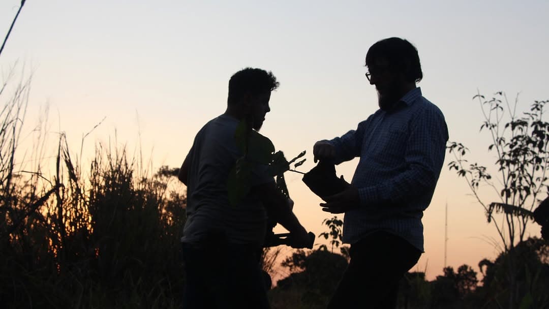 Mutirão de plantio de mudas nativas Enxame Agroecológico no Lote 21