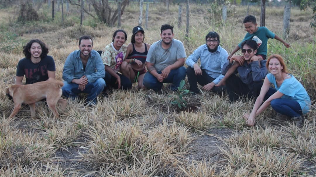 Mutirão de plantio de mudas nativas Enxame Agroecológico no Lote 21