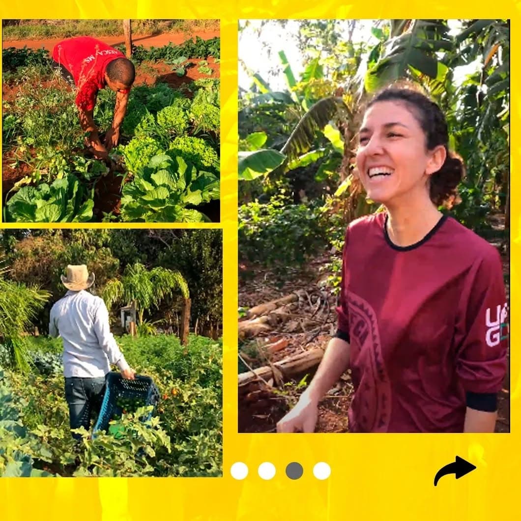 Ação Solidária em Campo Grande MS
